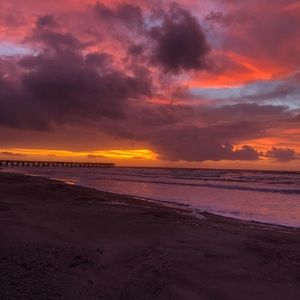 Meet your Posher, Alison